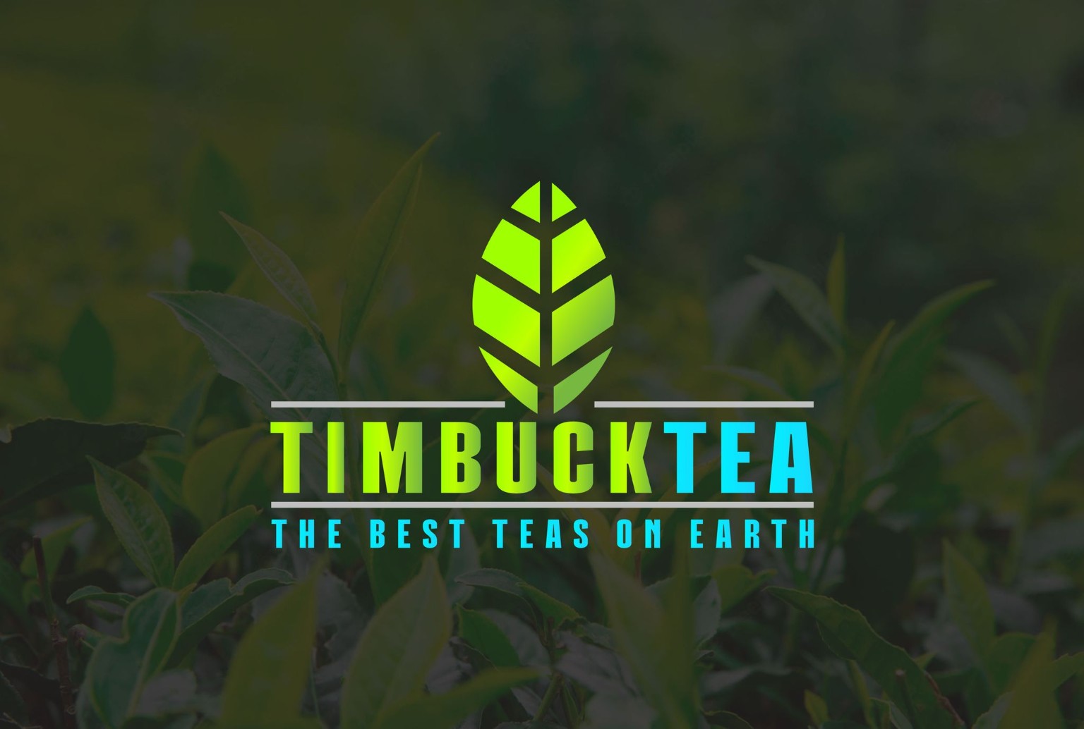 Timbuck Tea — The Best Teas on Earth