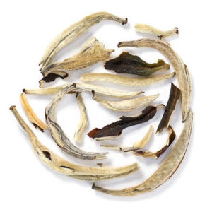 Silver Needle loose tea